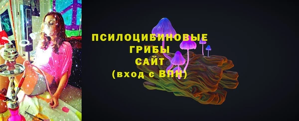 гидра Аркадак