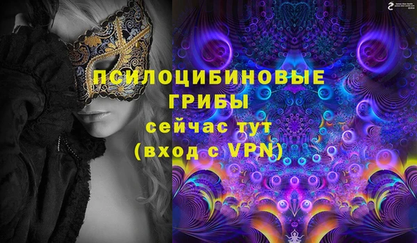мдпв Балабаново