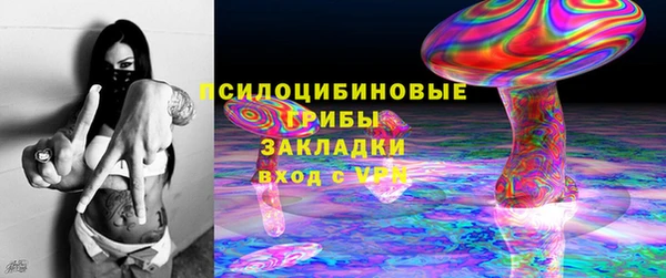 гидра Аркадак